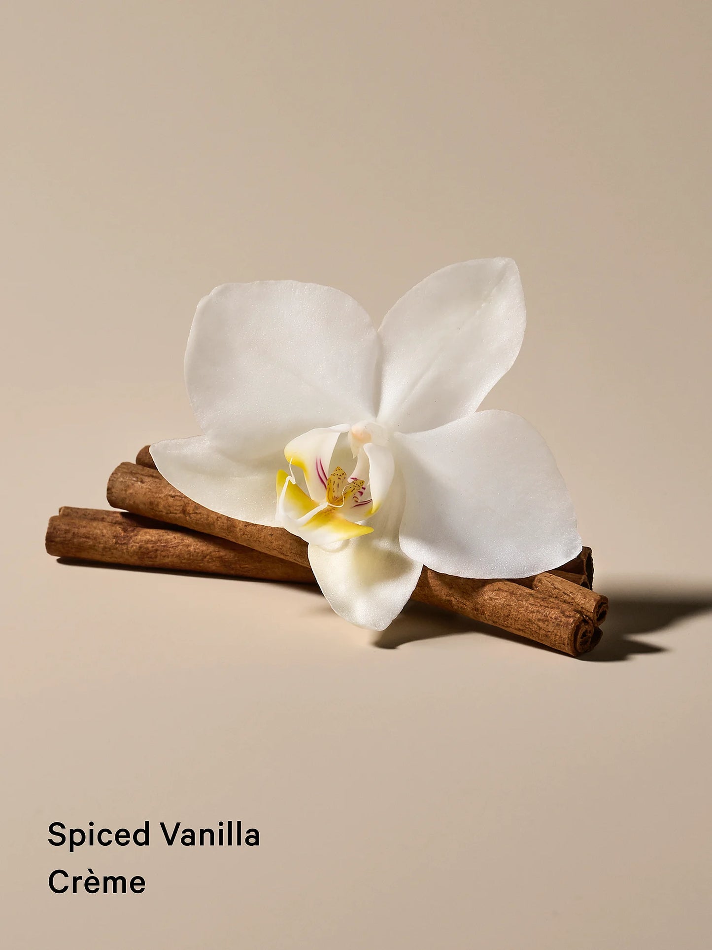 Victoria’s Secret - Feel Toasty 2-Piece Full-Sized Body Mist & Lotion Gift Set