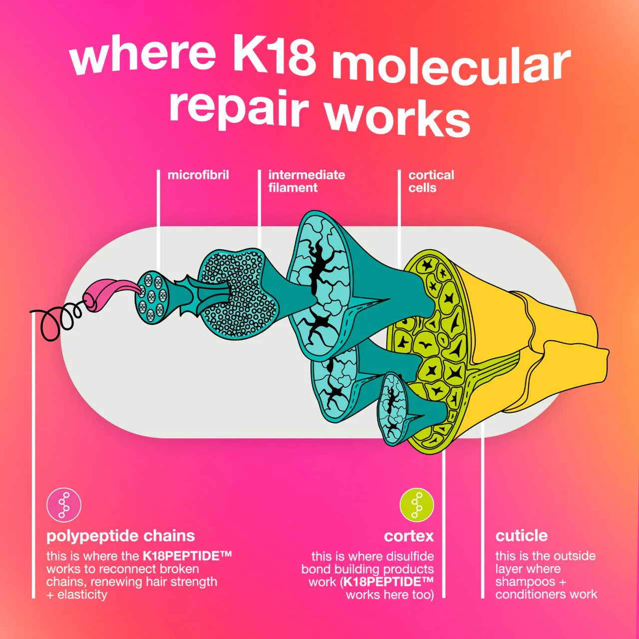 K18 Biomimetic Hairscience - Repair + Protect Mini's Hair Set