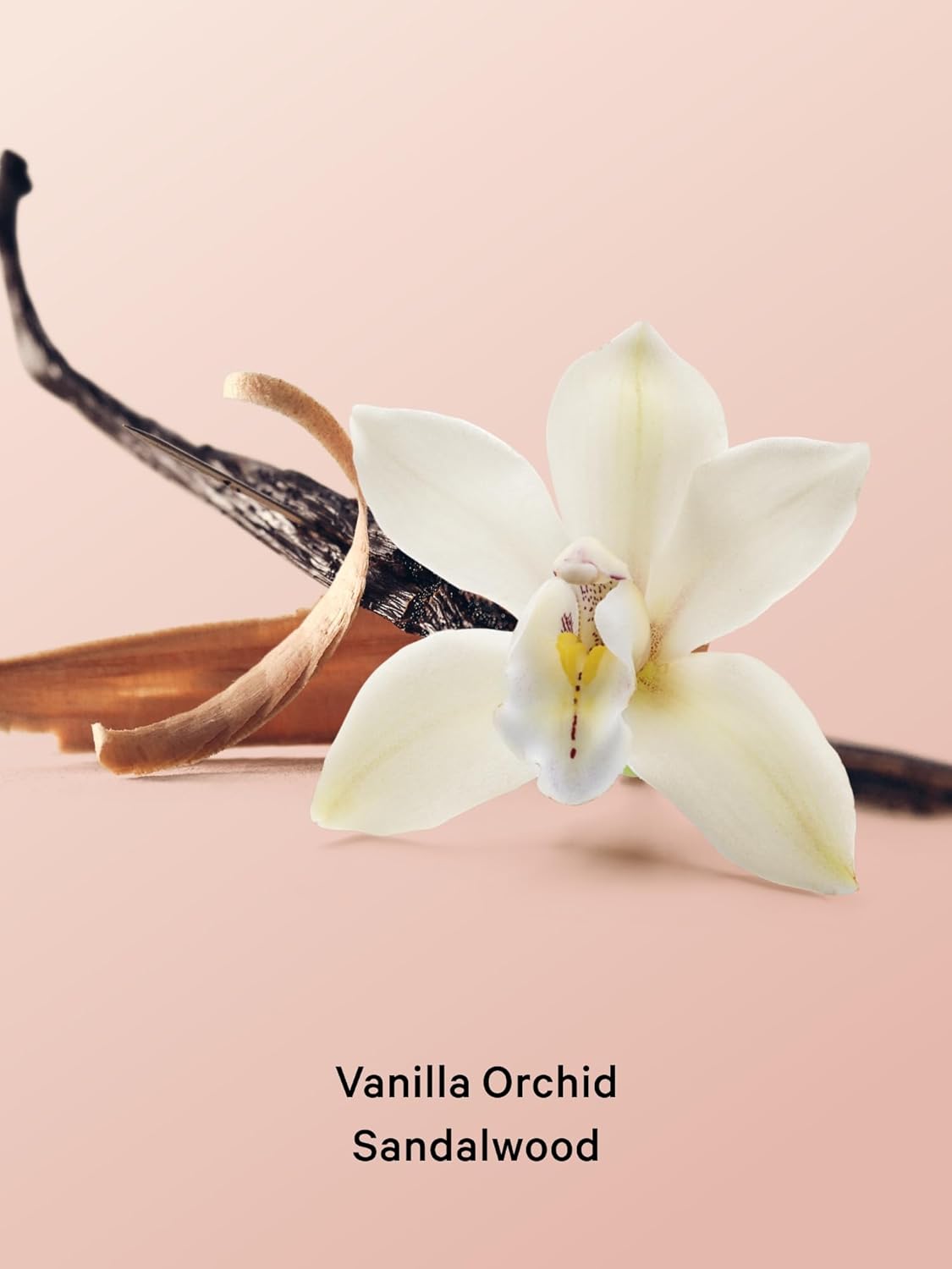 Victoria’s Secret - Vanilla Orchid Sandalwood 2-Piece Full-Sized Body Mist & Lotion Gift Set