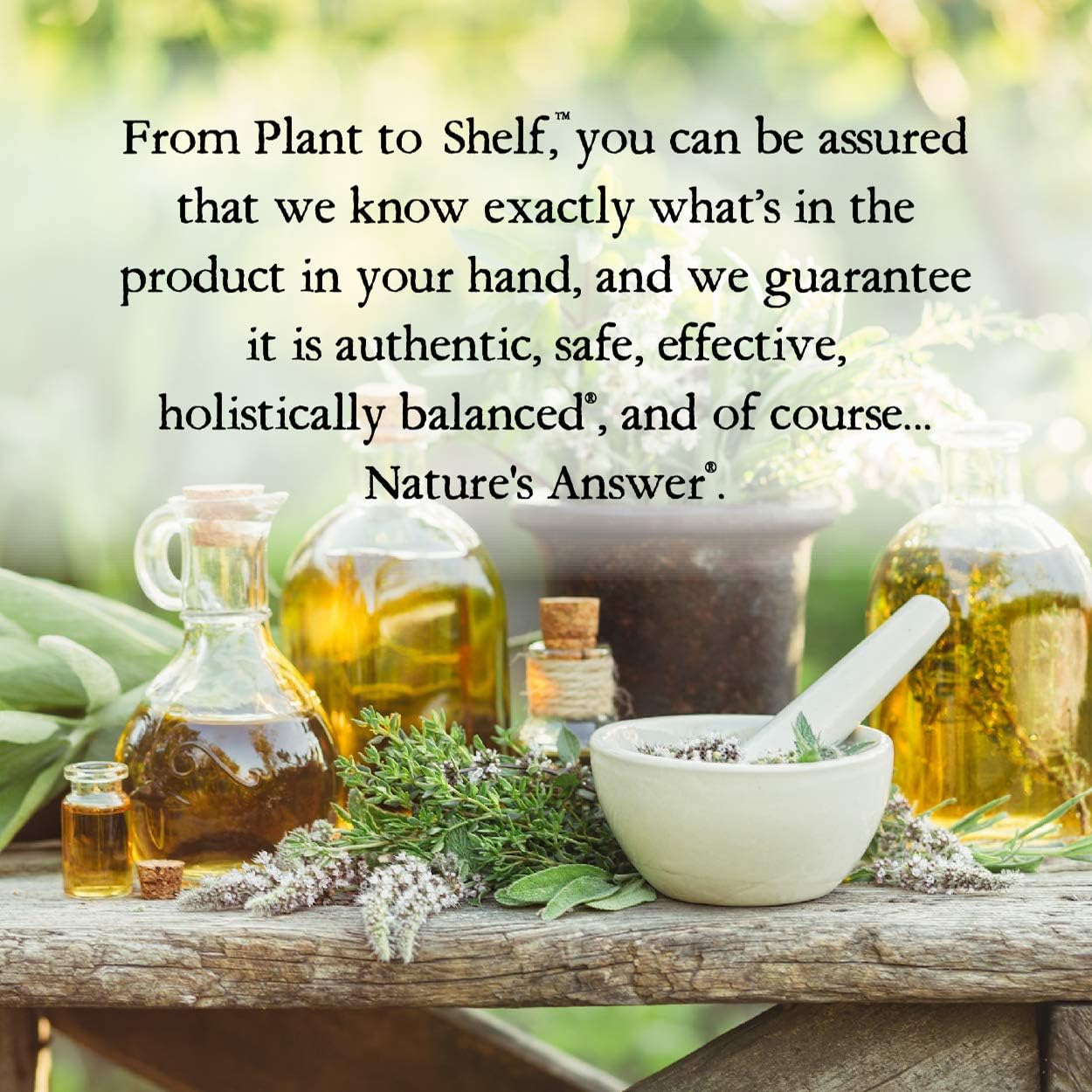 Nature's Answer - Licorice Root | 30 mL