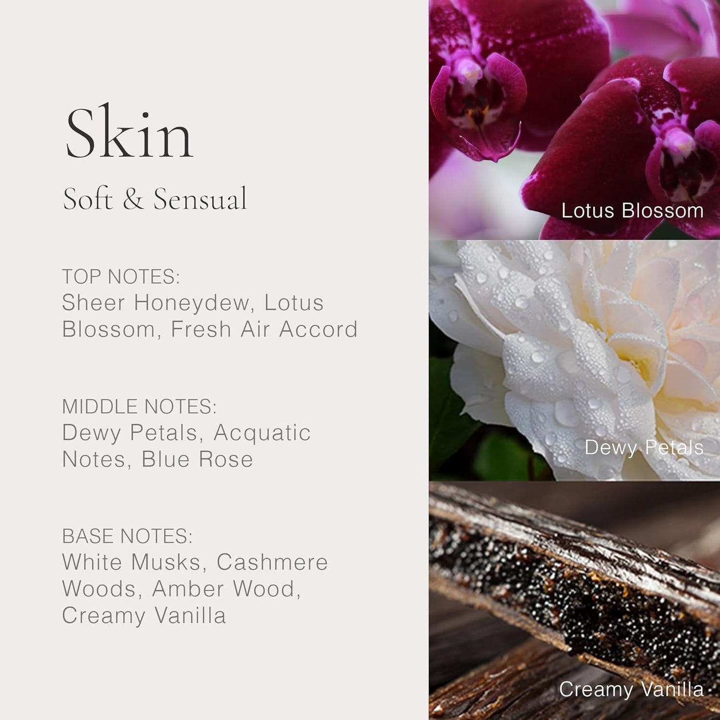 CLEAN RESERVE - Classic - Skin | 60 ML
