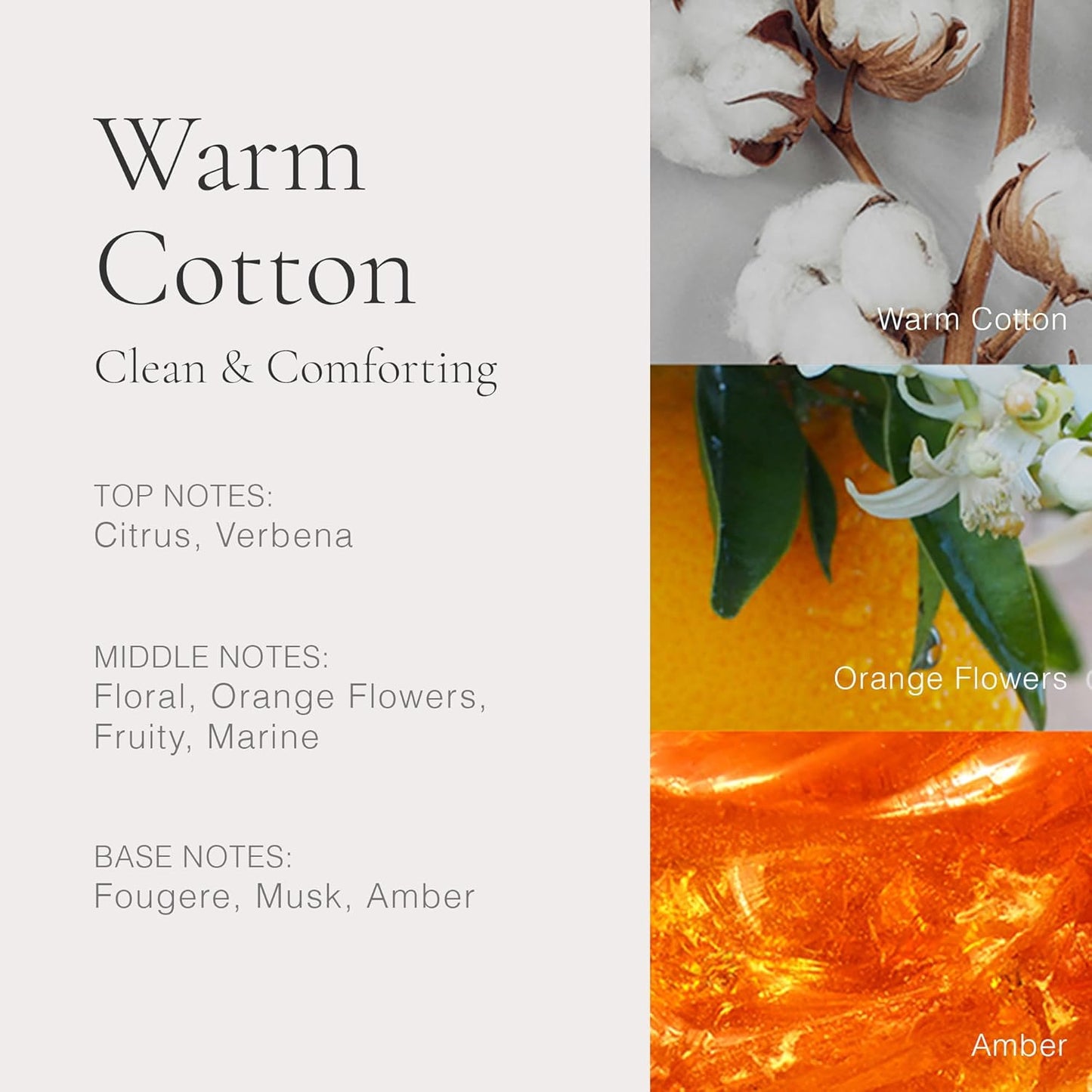 Clean - Classic Warm Cotton Duo