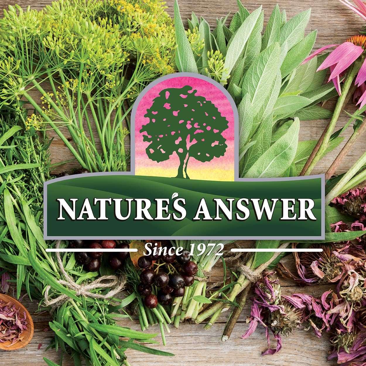 Nature's Answer - Licorice Root | 30 mL