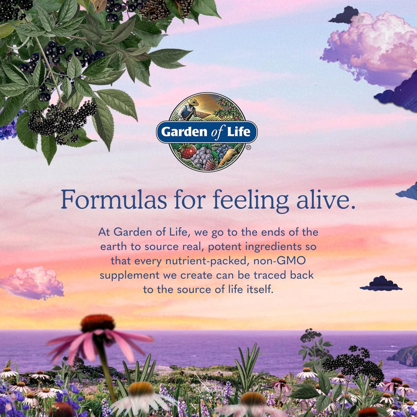 Garden of Life Dr. Formulated - Once Daily Women's Probiotics with 50 Billion CFU & Organic Prebiotics | 30 Capsules