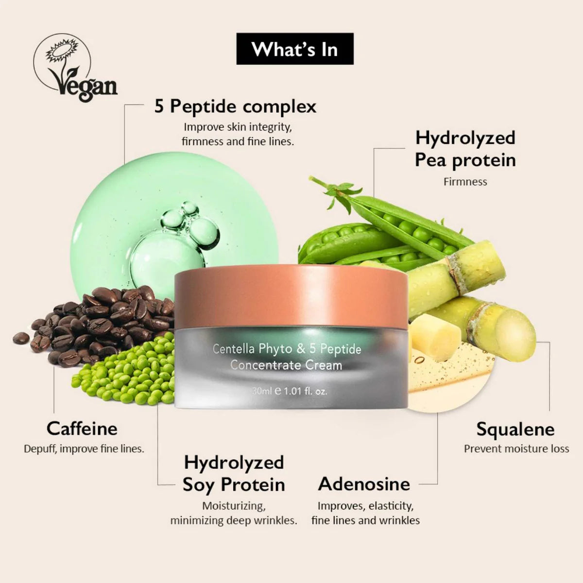 HARUHARU WONDER - CENTELLA PHYTO & 5 PEPTIDE CONCENTRATE CREAM | 30 ML