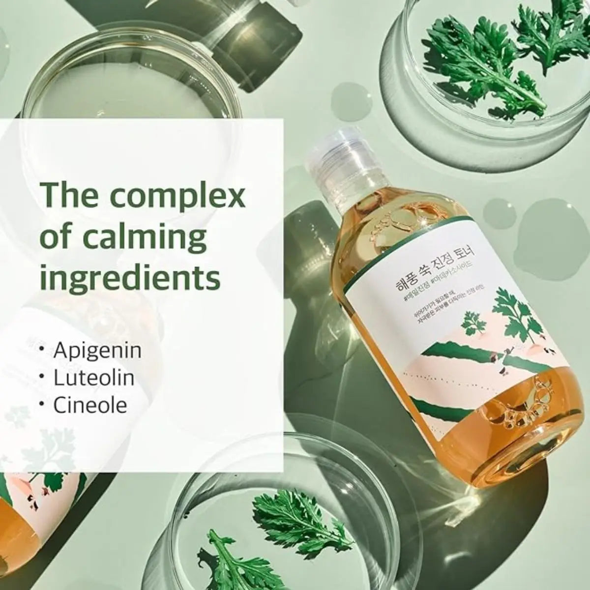 ROUND LAB - Mugwort Calming Toner | 300mL