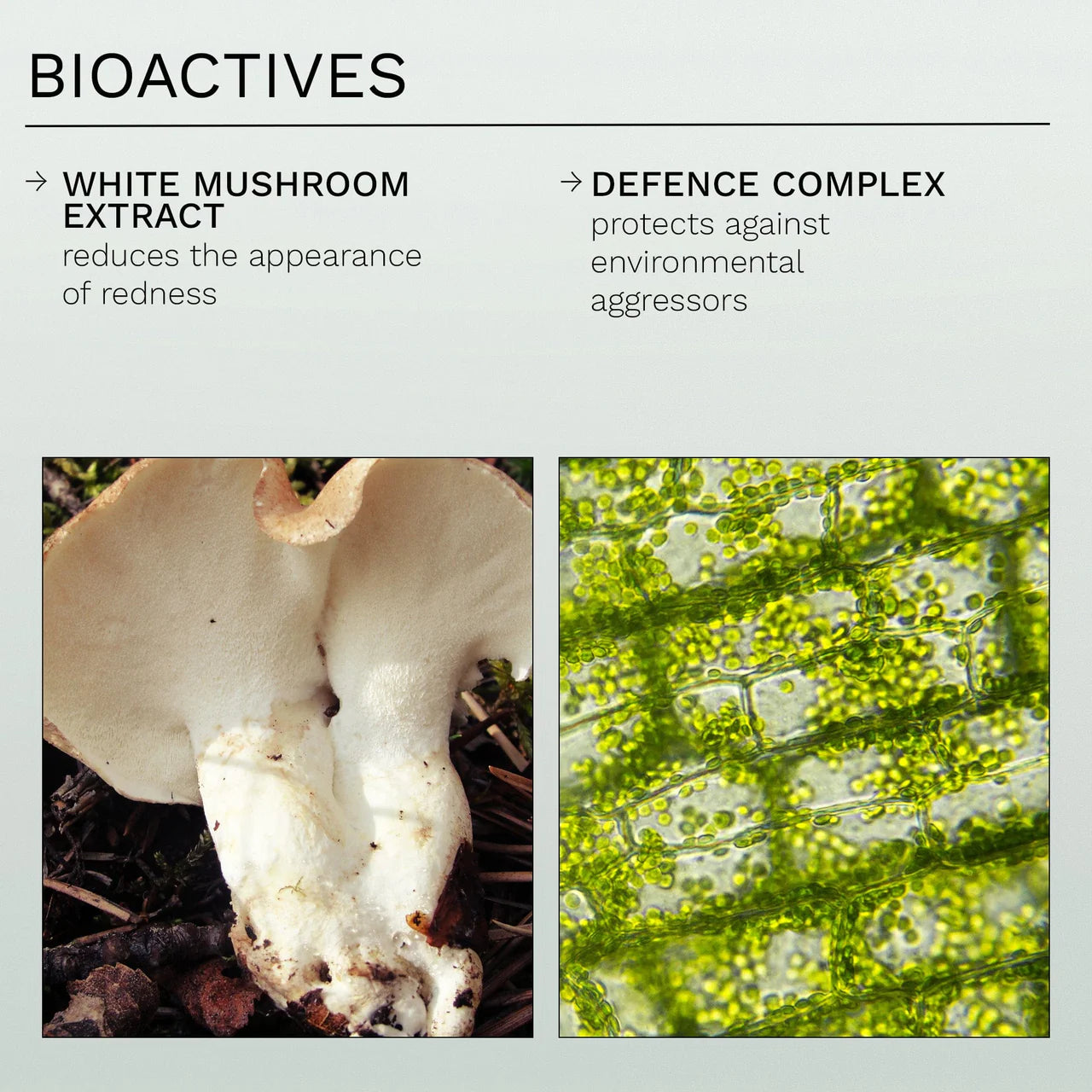 REN Clean Skincare - Evercalm Redness Relief Serum 15ml