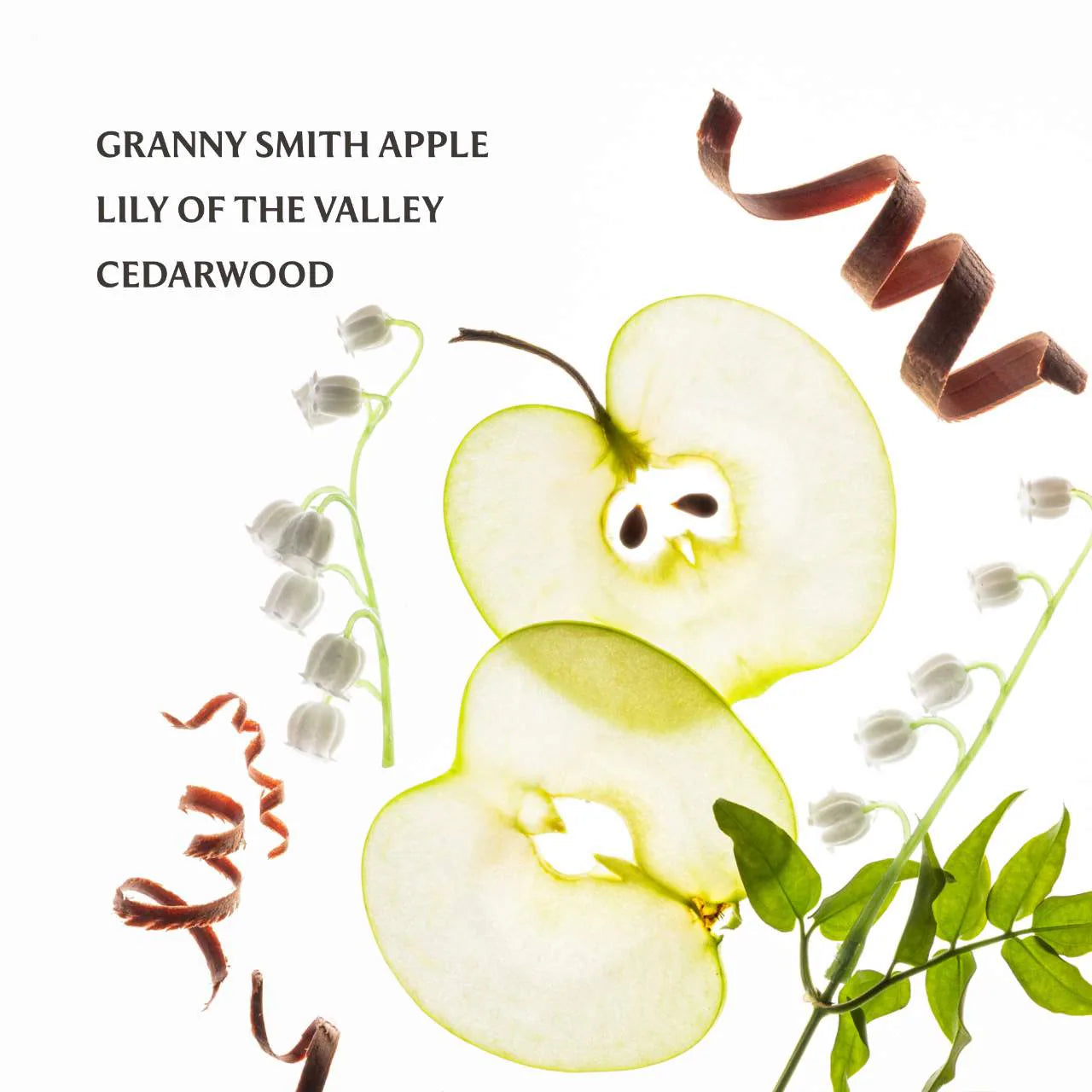 TOUCH LAND - POWER MIST Hydrating Hand Sanitizer