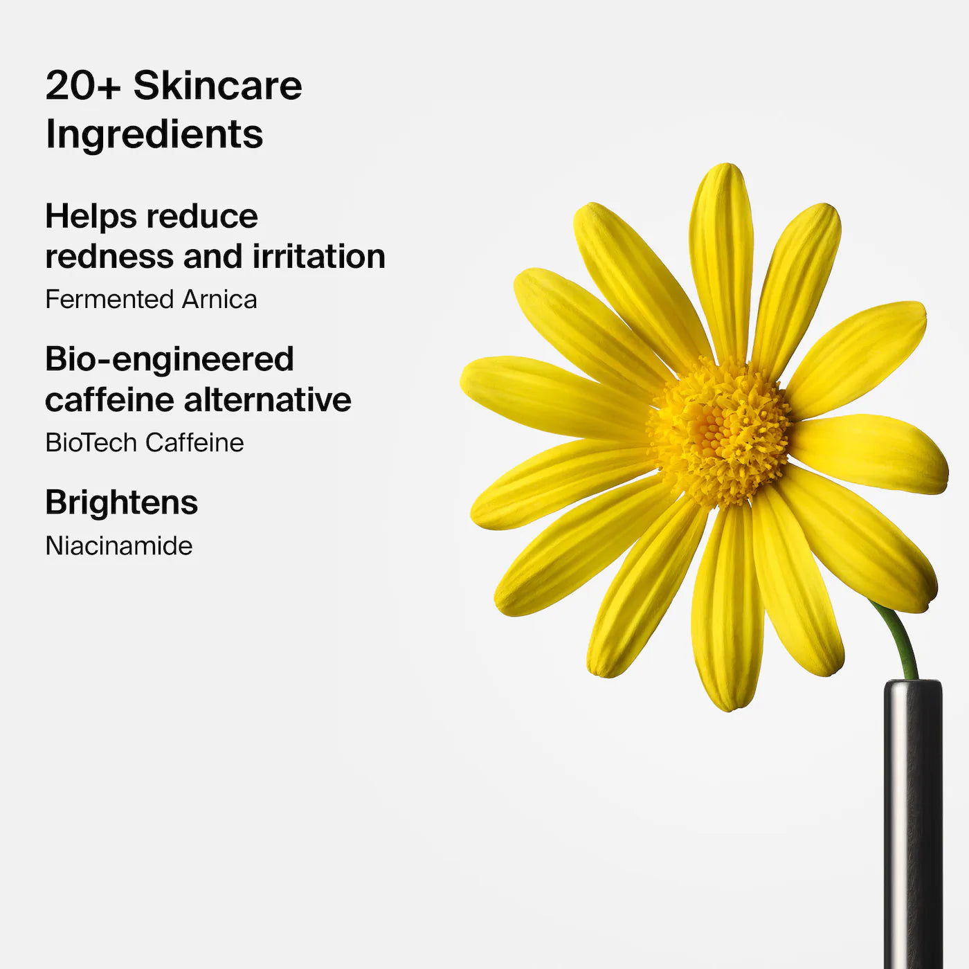 HAUS LABS - TRICLONE SKIN TECH MEDIUM COVERAGE FOUNDATION