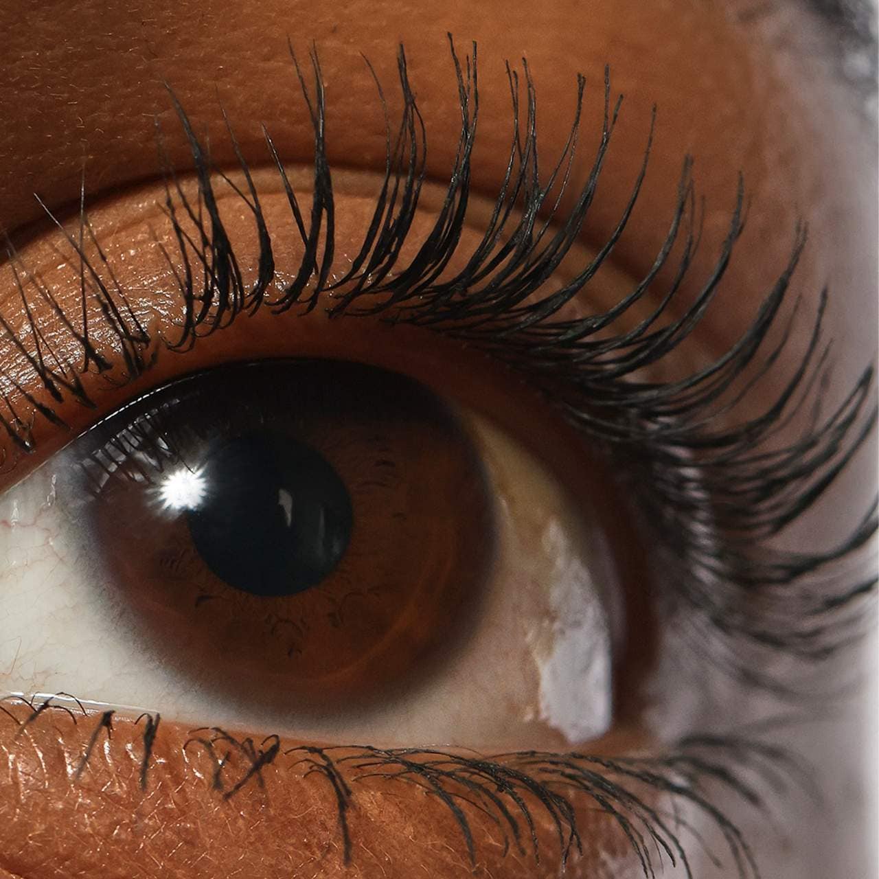 REFY - Lash Sculpt Lengthen and Lift Mascara | 10 mL