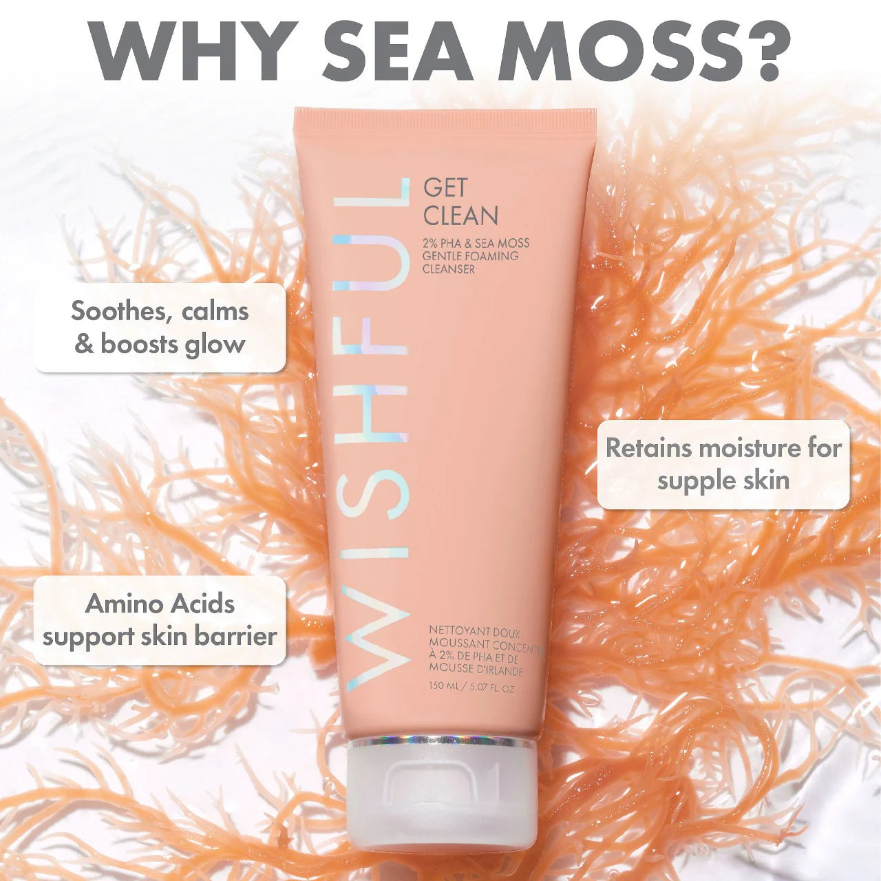 Wishful - Get Clean 2% PHA & Sea Moss Gentle Foaming Cleanser | 50 mL