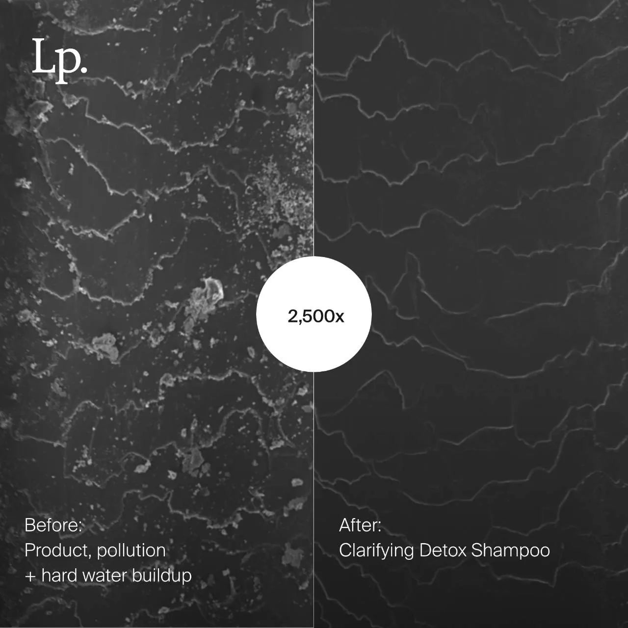Living Proof - Clarifying Detox Shampoo | 236 mL