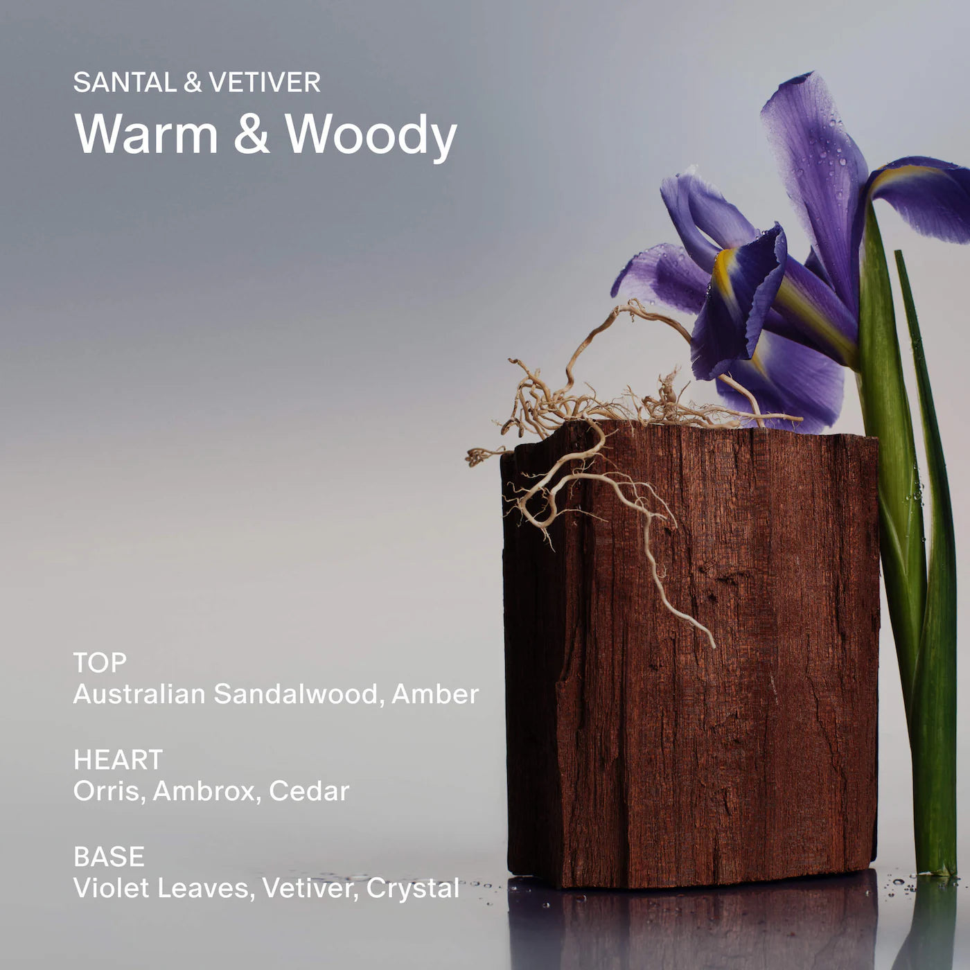 SALT & STONE - Santal & Vetiver Extra-Strength Aluminum-Free Deodorant