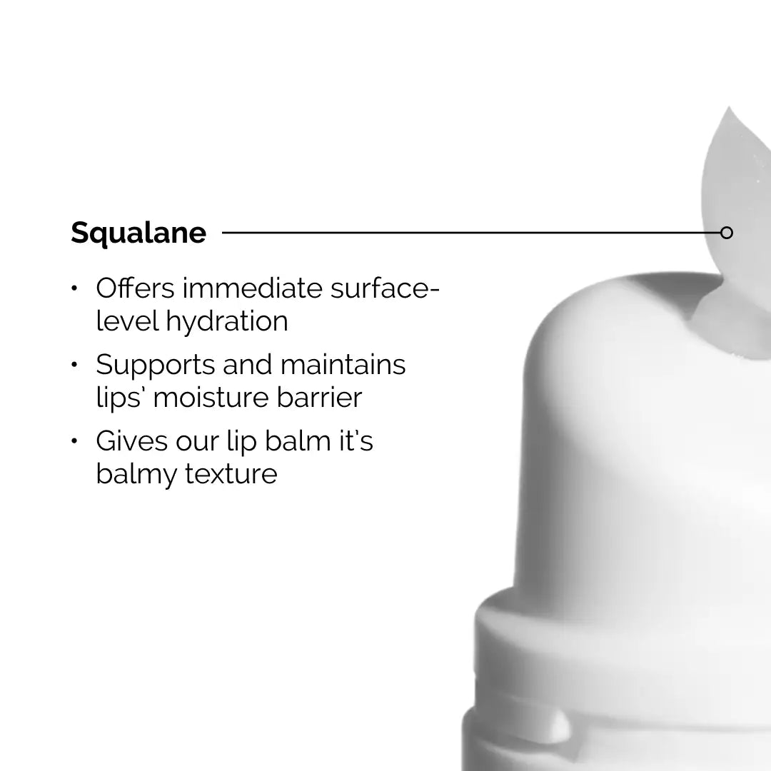 The Ordinary - Squalane + Amino Acids Hydrating Lip Balm | 15 mL