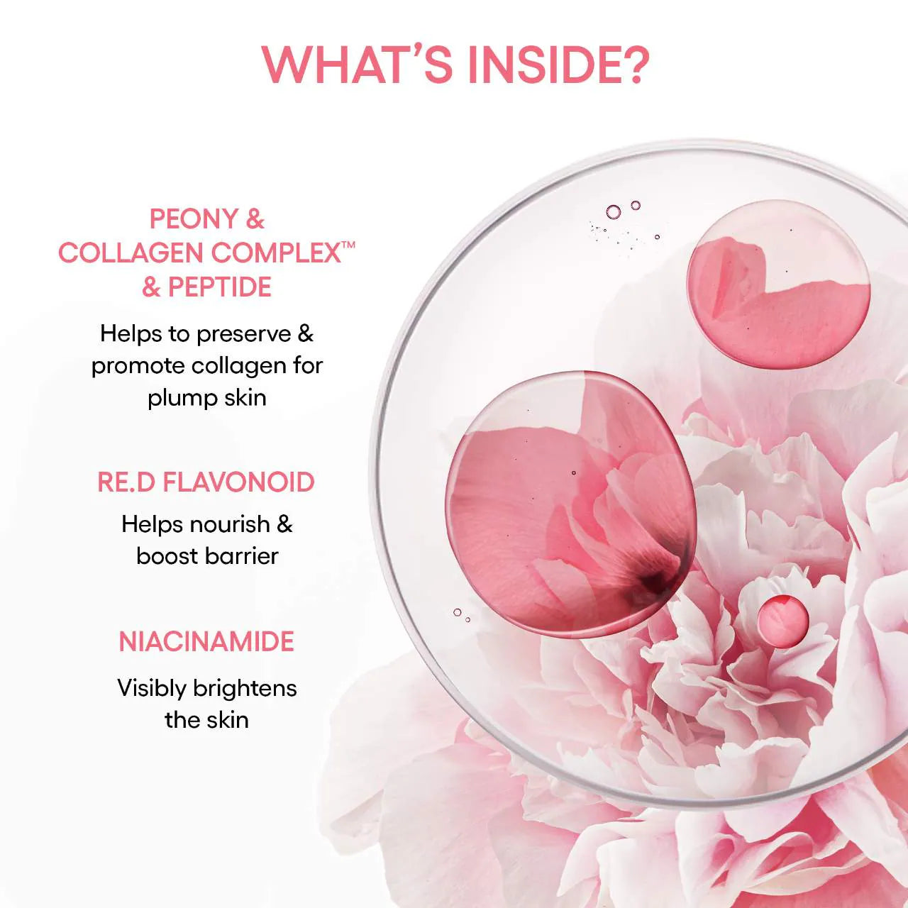 LANEIGE - Bouncy & Firm Radiance Boosting Serum | 30 mL
