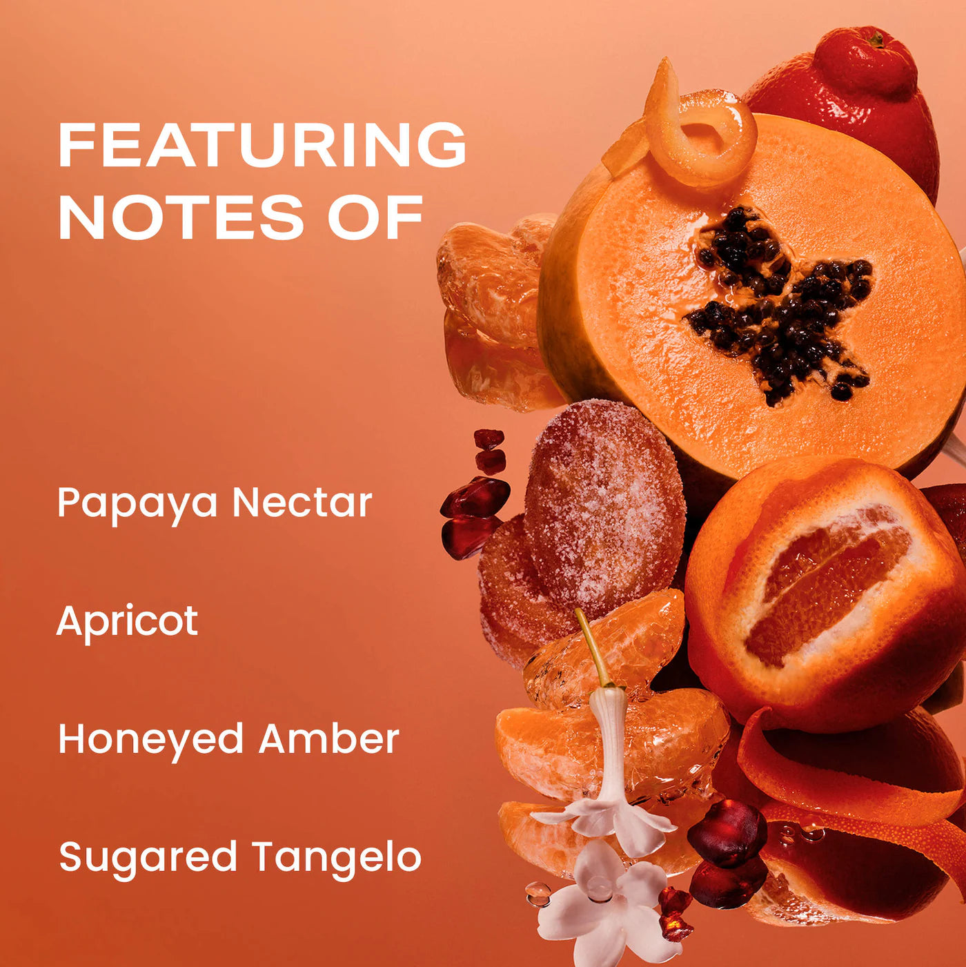 PHLUR - VANILLA NECTAR Hair & Body Fragrance Mist