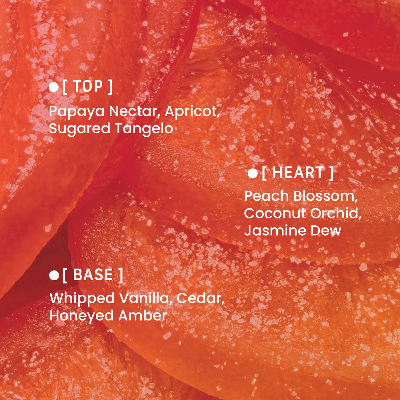 PHLUR - VANILLA NECTAR Hair & Body Fragrance Mist