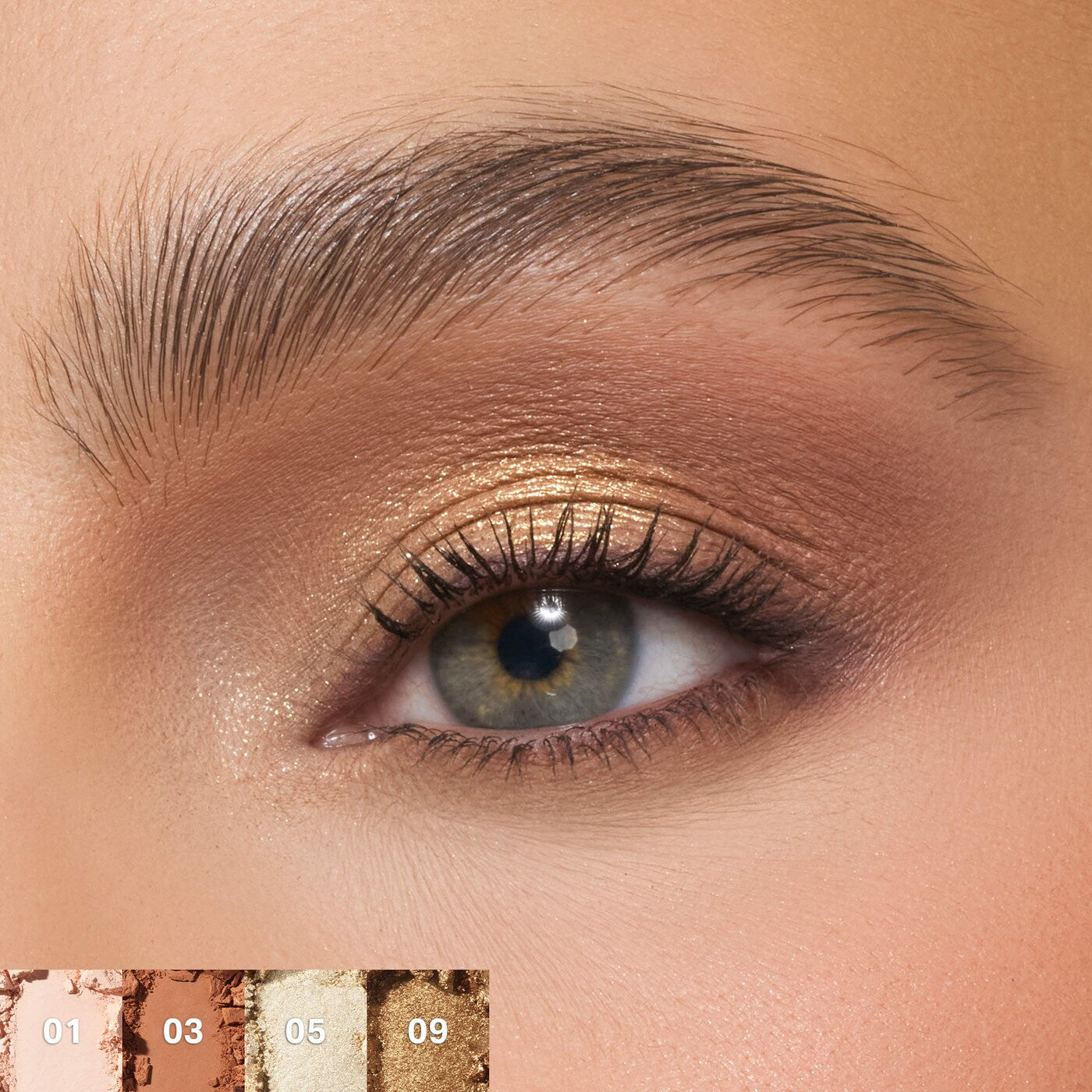 Morphe - ChromaPlus 12-Pan Eyeshadow Palette | Flickering Sands