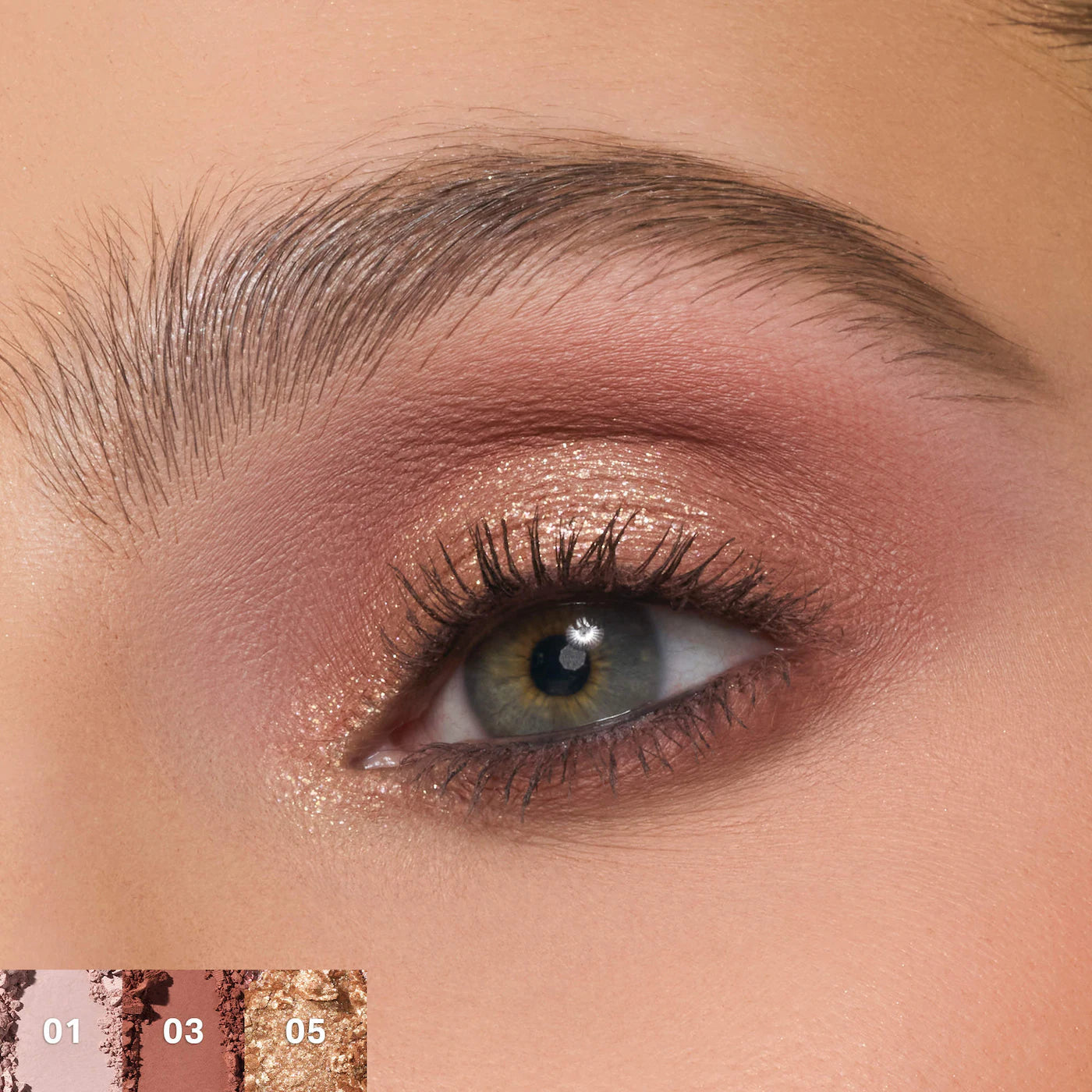 Morphe - Outer Spice ChromaPlus 6-Pan Eyeshadow Palette