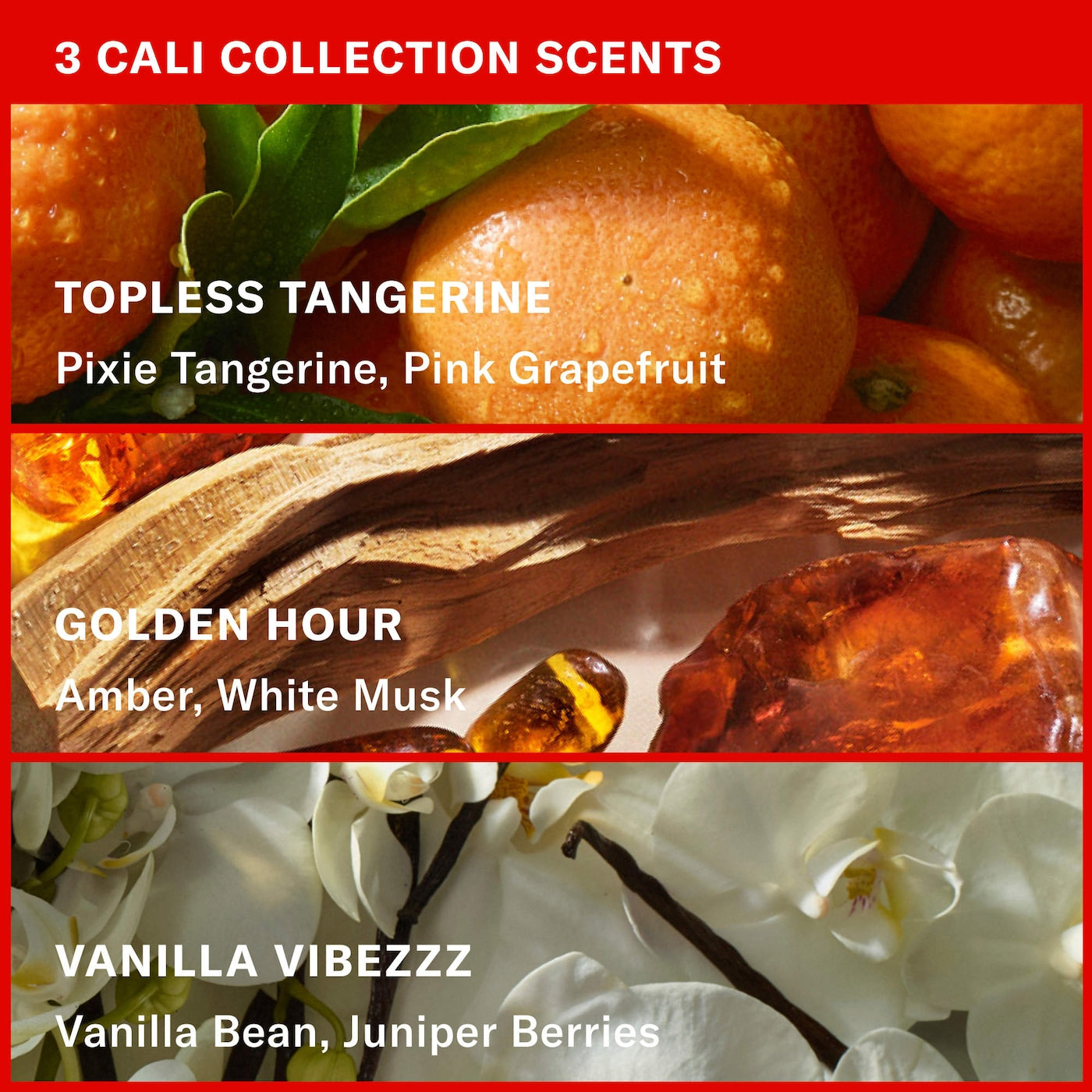 Josie Maran - Bite-Sized Butters Mini Whipped Body Butter 3-Piece Gift Set