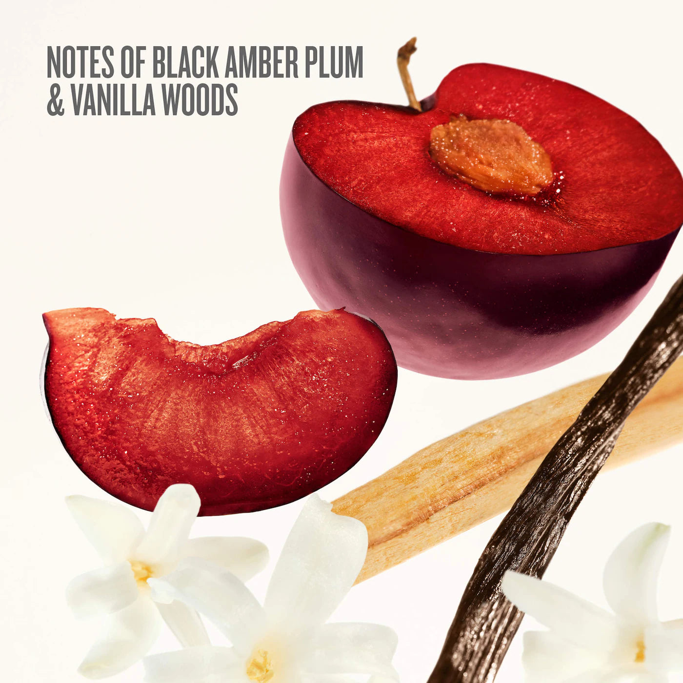 Sol de Janeiro - Bom Dia Bright™ Party of Two Set