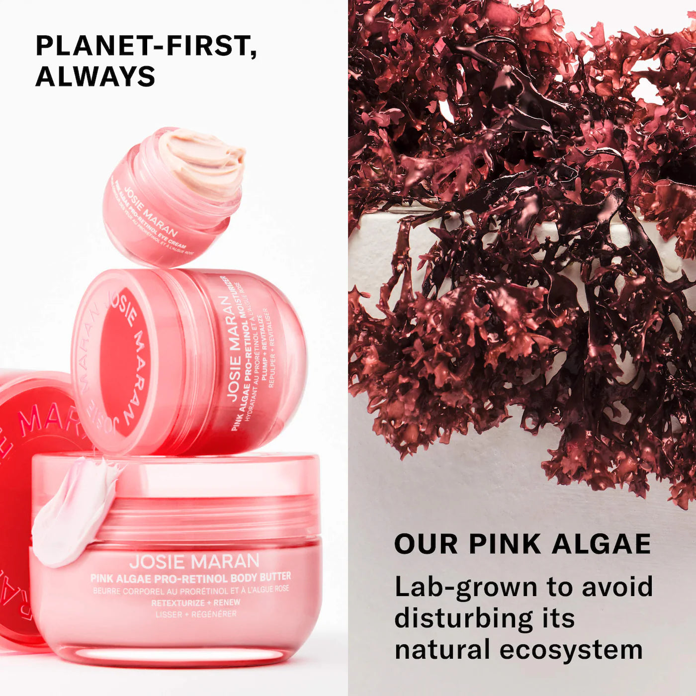 JOSIE MARAN - Pink Algae Pro-Retinol Body Butter for Anti-Aging and KP | Always Nude, Unscented