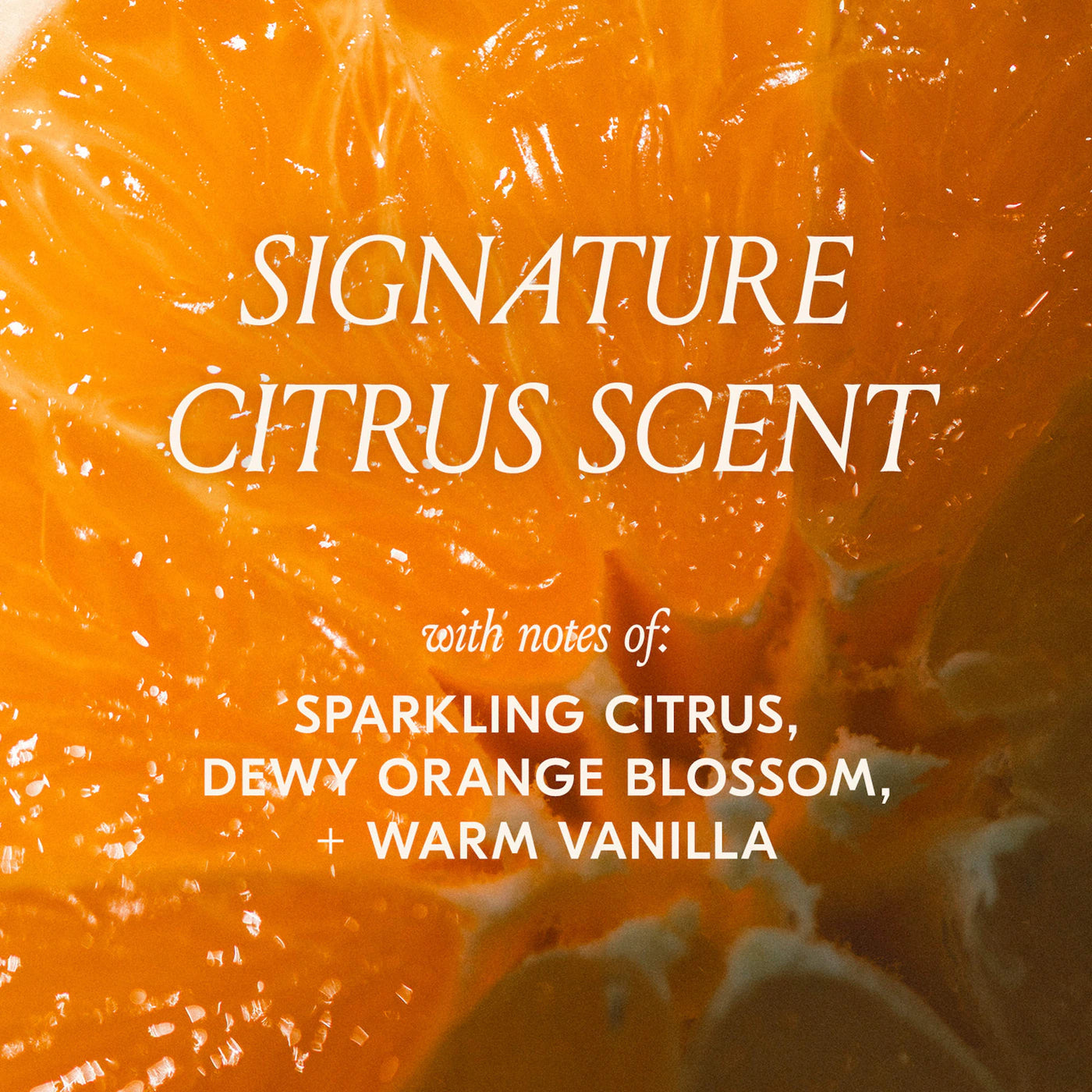 dae  - Slick Citrus Twist Hair + Body Kit