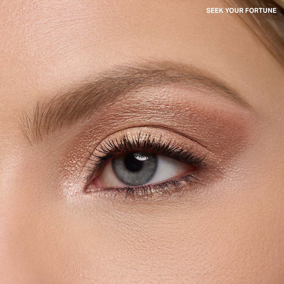 Morphe - Holiday 2026 Eyeshadow Trios
