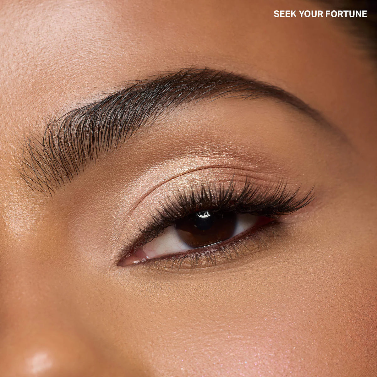 Morphe - Holiday 2026 Eyeshadow Trios