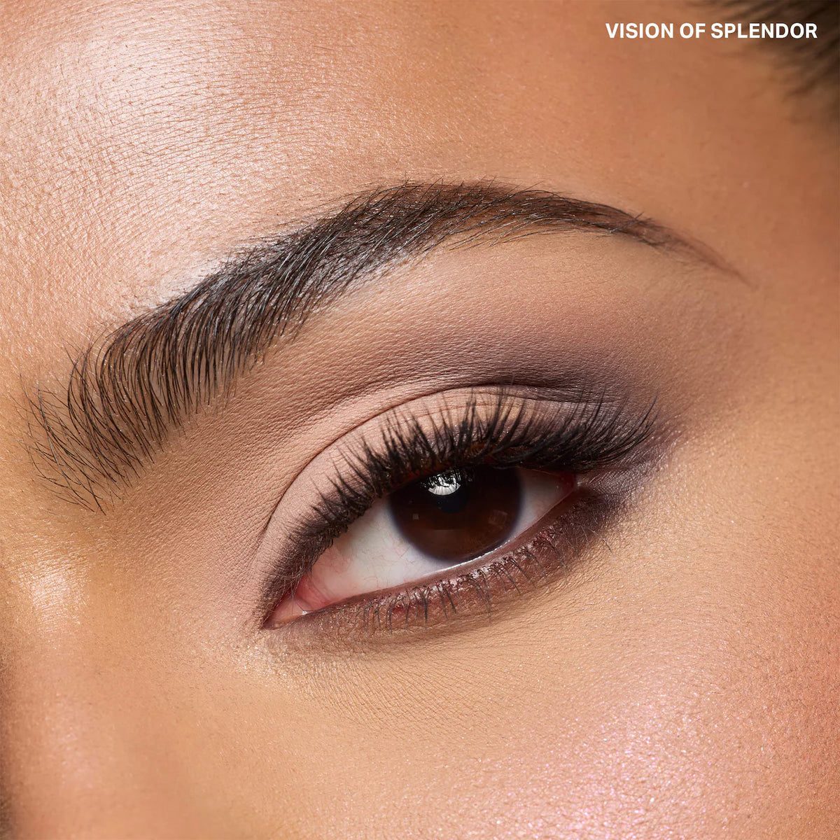 Morphe - Holiday 2026 Eyeshadow Trios